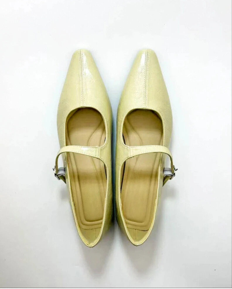 Point Toe Wedge Heel Mary Janes