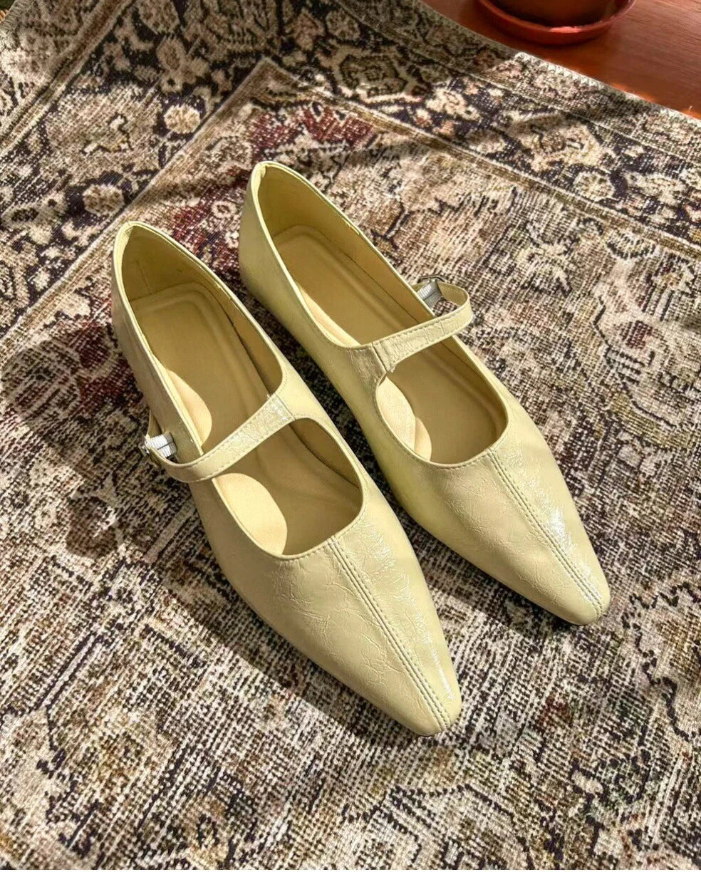 Point Toe Wedge Heel Mary Janes
