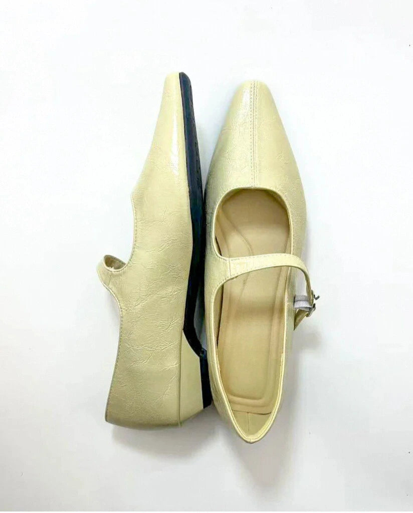 Point Toe Wedge Heel Mary Janes
